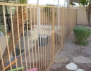 classic pool safety fencing with a gate