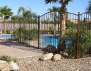 decorative arched pool fence with knuckles and ball tops