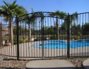 double decorative arched pool gates